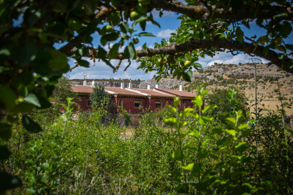 Casas rurales "La trufa madre"